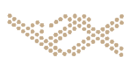 Logo Fullserti