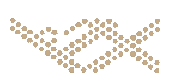 Logo Fullserti